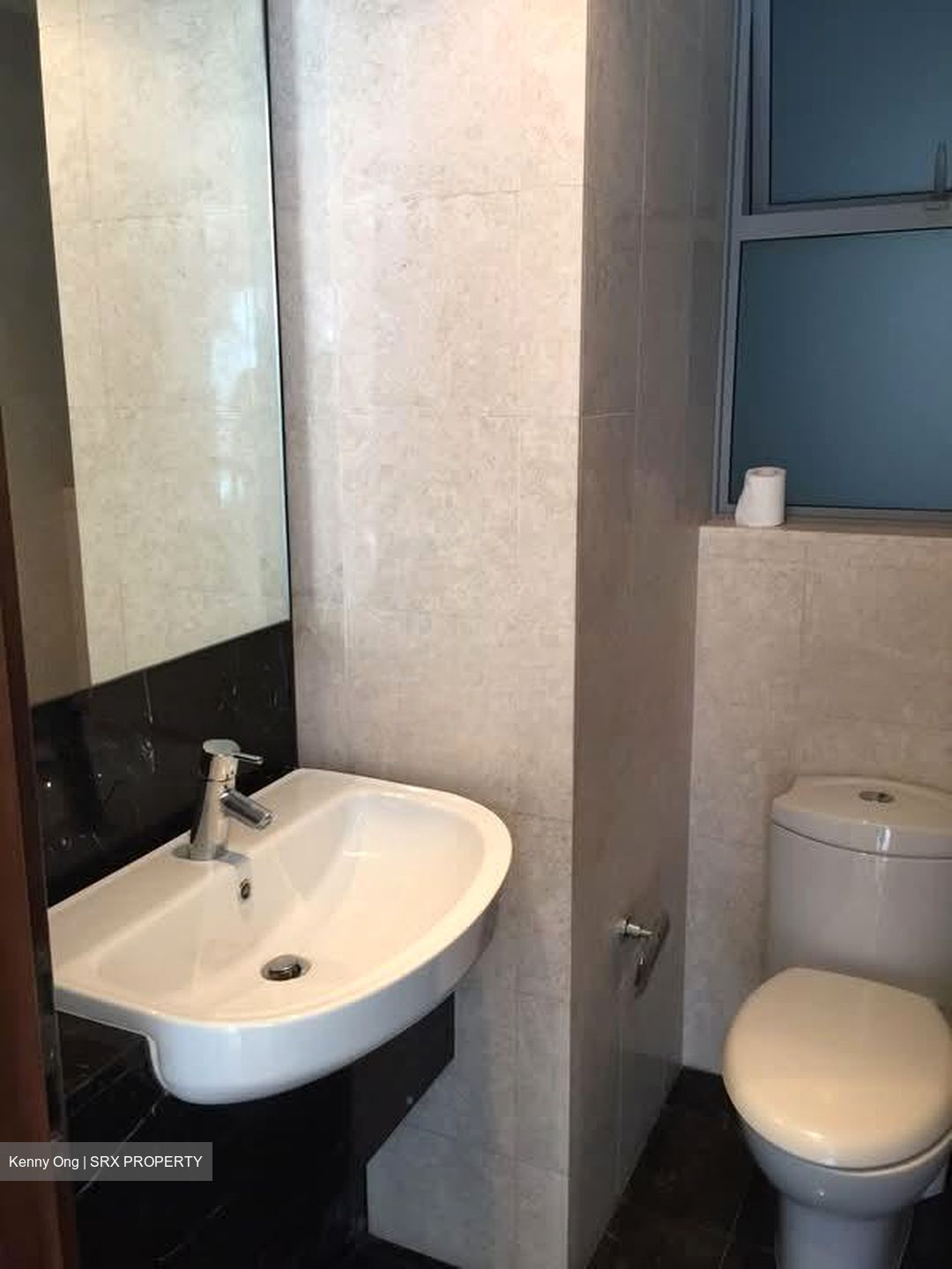 Residences @ Evelyn (D11), Condominium #559815361